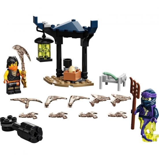 LEGO® NINJAGO® Efsanevi Savaş Seti - Cole ile Hayalet Savaşçı 71733